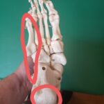 Center of gravity of lower back pain | 蕨重症専門 くまさんの整骨院 腰痛の重心