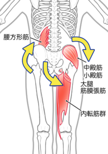 腰痛の原因筋肉
