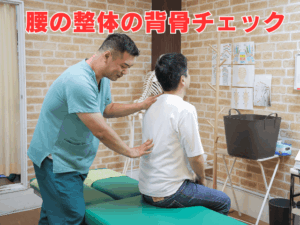 Waist adjustment | 蕨重症専門 くまさんの整骨院 腰の整体の背骨チェック