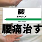 蕨で腰痛治す